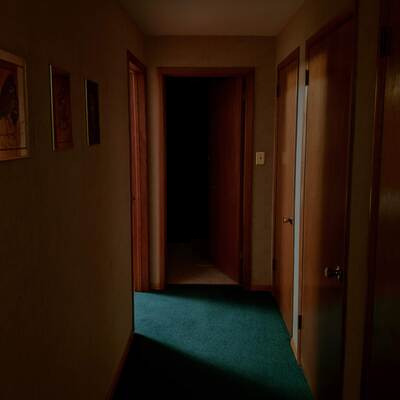 A cozy, dimly lit hallway with green carpet and wooden doors on either side. Light is coming through an open door to the left, and the door to a dark room is cracked open straight ahead.